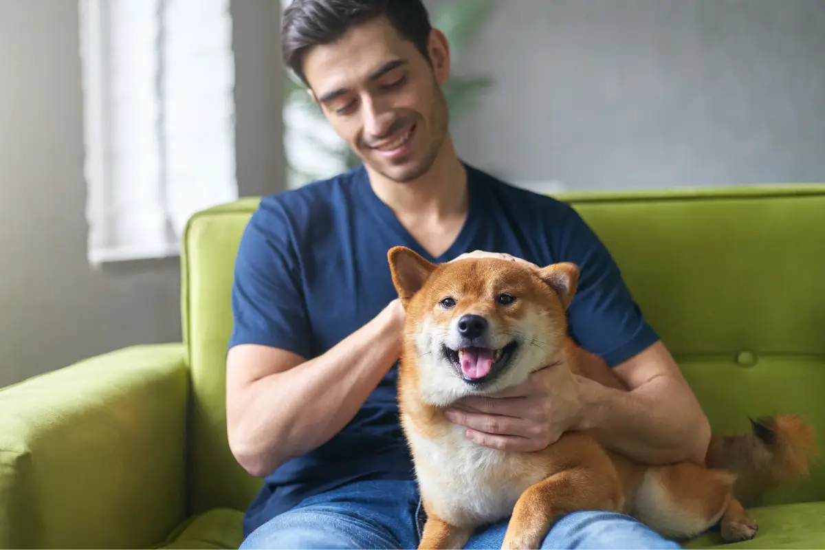 Creating a Pet-Friendly Leasing Strategy That Works in San Antonio